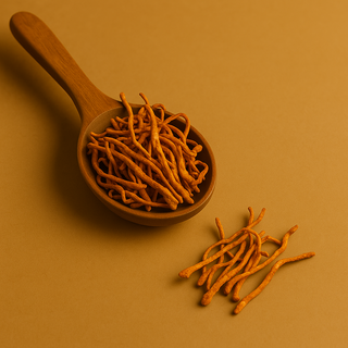 How Much Cordyceps Should You Take Per Day