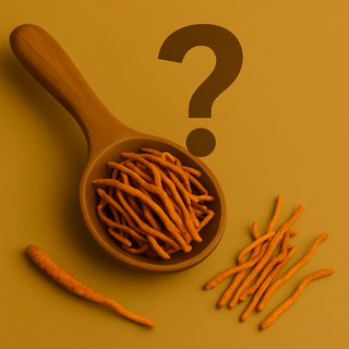 Measuring spoon with Cordyceps mushroom powder on a wooden surface