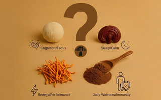 How to Choose the Right Mushroom Powder for Your Daily Goals