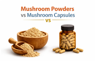 Are Mushroom Powders Better Than Capsules? Choosing the Right Format for You