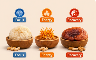 Can You Take Lion’s Mane, Cordyceps and Reishi Together? The Ultimate Stack Guide