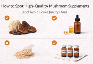 How to Spot High-Quality Functional Mushroom Supplements (And Avoid the Low-Quality Ones)