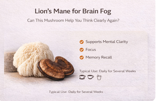Lion’s Mane for Brain Fog: Can This Mushroom Help You Think Clearly Again?