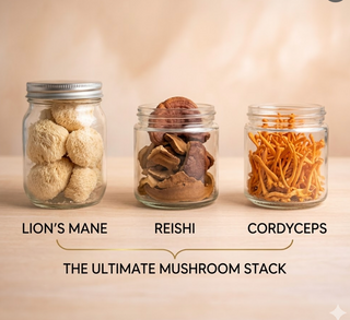 Building Your First Mushroom Stack: A Simple Guide to Getting Started