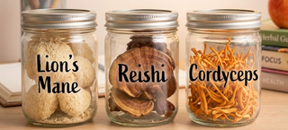 Do Functional Mushrooms Actually Work? What the Science Really Says
