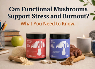 Can Functional Mushrooms Support Stress and Burnout? What You Need to Know