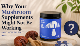 Why Your Mushroom Supplements Might Not Be Working (And How to Fix It)