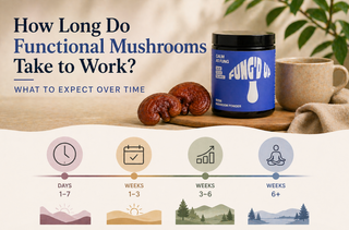 How Long Do Functional Mushrooms Take to Work? What to Expect Over Time