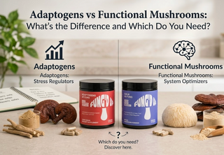 Adaptogens vs Functional Mushrooms: What’s the Difference and Which Do You Need?