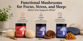 Functional Mushrooms for Focus, Stress, and Sleep: Which One Supports What?