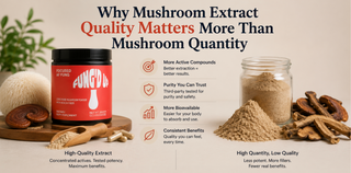 Why Mushroom Extract Quality Matters More Than Mushroom Quantity