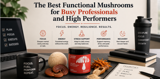 The Best Functional Mushrooms for Busy Professionals and High Performers