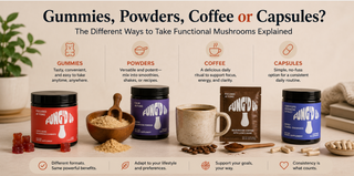 Gummies, Powders, Coffee or Capsules? The Different Ways to Take Functional Mushrooms Explained