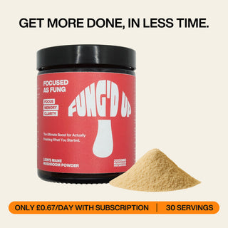 Lion's Mane Mushroom Powder