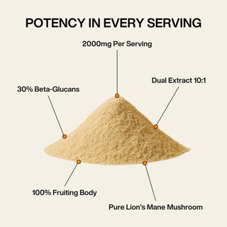 Lion's Mane Mushroom Powder