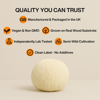 Lion's Mane Mushroom Powder