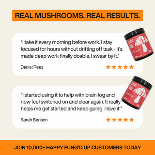 Lion's Mane Mushroom Powder